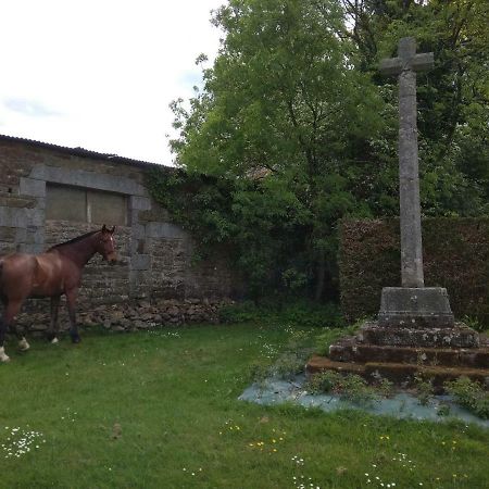 Bed and Breakfast Haras de La Croix d'Argent Saint-Sauveur-de-Carrouges Exterior foto