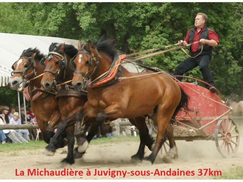 Bed and Breakfast Haras de La Croix d'Argent Saint-Sauveur-de-Carrouges Exterior foto